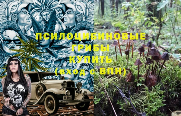 герыч Михайловск
