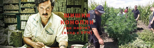 COCAINE Михайлов