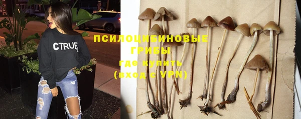 COCAINE Михайлов