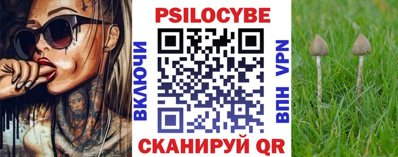 Галлюциногенные грибы Cubensis  mega   Фурманов 